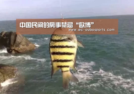 欧博