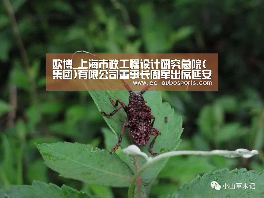 欧博_上海市政工程设计研究总院(集团)有限公司董事长周军出席延安路中运量公交系统工程开工典礼(图1) 欧博游戏