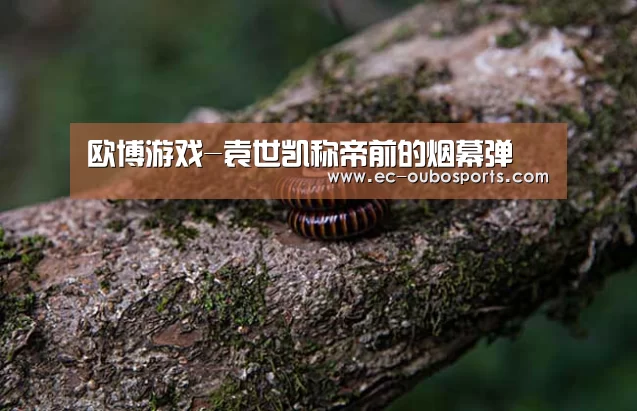 欧博游戏-袁世凯称帝前的烟幕弹(图1) 欧博