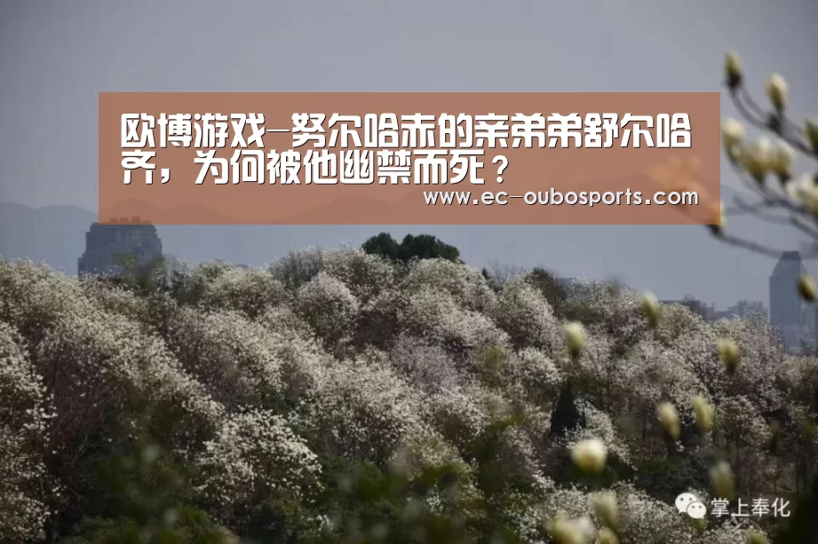 欧博游戏-努尔哈赤的亲弟弟舒尔哈齐,为何被他幽禁而死?(图1) 欧博游戏